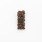 Chocolate Covered Almonds